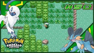 Pokemon Emerald Walkthrough Part 50 Full Circle [upl. by Jeth458]