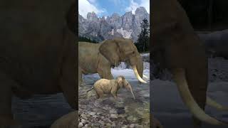 Elephant crossing the river with baby trendingvideo [upl. by Jennee]