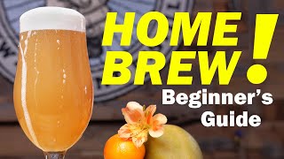 HOMEBREWING FOR BEGINNERS  How to Make Beer at Home 🏠🍺 [upl. by Akcirderf]