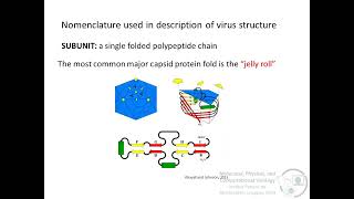 3 Structural VirologyNRamos [upl. by Aihsenak]