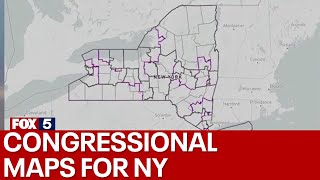 NYs high court orders new congressional maps for state [upl. by Nerhe]