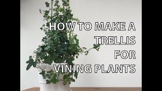 DIY  HOW TO MAKE A TRELLIS FOR A POTTED PLANT with just two materials [upl. by Araf]