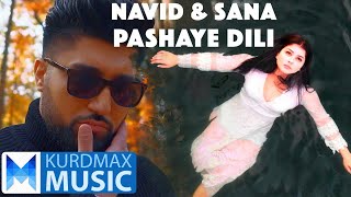 Navid Zardi X Sana Barzanje  Pashaye DiLi [upl. by Paddy]