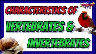 Characteristics of Vertebrates and Invertebrates  Science 6 Quarter 2 [upl. by Nolyak481]