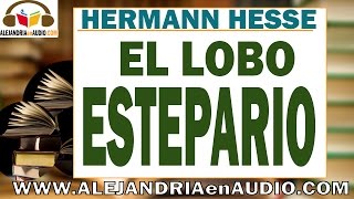 El lobo estepario Hermann Hesse  ALEJANDRIAenAUDIO [upl. by Eus]