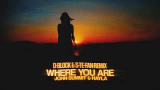 John Summit amp Hayla  Where You Are DBlock amp SteFan rmx Official Video [upl. by Ahsirhcal]