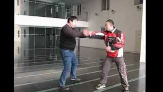 Beijing BaguaZhang Fighting Techniques八卦掌打法 [upl. by Salb]