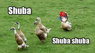 Shubaduck army bullied subaru  Animal hololive [upl. by Cavit]