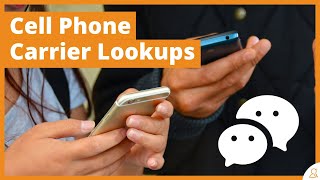 How To Conduct Cell Phone Carrier Lookups Find the Current Carrier and Save SMS Fees [upl. by Laundes543]