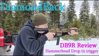 DiamondBack Firearms DB9R [upl. by Itsyrc]