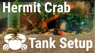 How to set up a hermit Crab Tank Properly [upl. by Beauregard185]