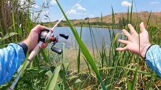 Bass Fishing And Nature  The Jig Was Catching Them [upl. by Elleivap]