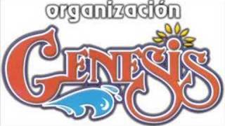 ORGANIZACION GENESIS [upl. by Patrizia]