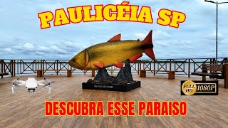 PAULICÉIA SP [upl. by Saeger]