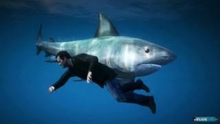 GTA 5 Gameplay  How to find the SHARK [upl. by Craven]