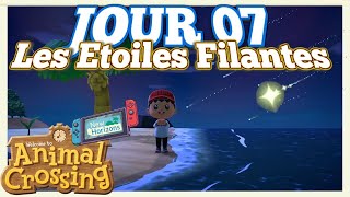 Les Etoiles Filantes 🌠 Animal Crossing New Horizons Switch  JOUR 07 [upl. by Otis]