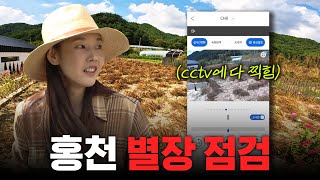 한혜진 별장 cctv에 찍힌 00 가을맞이 홍천 별장 기습 점검🚨ㅣ무단침입 허수아비 고구마튀김 먹방 [upl. by Corly493]