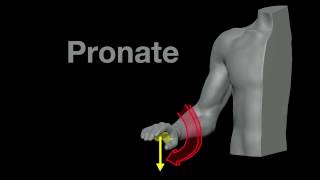 WideGrip Lat Pulldown  Back Exercise Guide [upl. by Chico691]