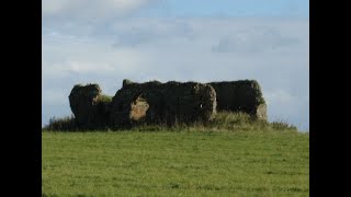 RSPB Minsmere [upl. by Clemmie]