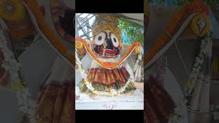 Nandighosa tora ataki gala bada sankha thareJay jagannath Prabhu ❤️🙏 [upl. by Pyle]