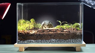 EWIGES TERRARIUM – die Neuauflage [upl. by Seek]