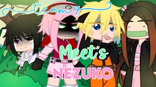 Team 7 meet’s Nezuko  Gcmm  Demon Slayer  Naruto [upl. by Amsed]