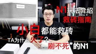 【韩风Talk】解密斐讯N1为何火？分享全套N1救砖指南N1刷机玩法介绍小白也能救N1 [upl. by Chabot849]