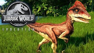 Jurassic World Evolution 13  Der süße Deinonychus amp die Kämpfe zwischen den Dinos  LP JW Deutsch [upl. by Anilesor78]