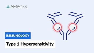 Immediate response Type I Hypersensitivity Reaction [upl. by Nosilla]