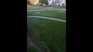 Rain bird sprinkler system [upl. by Kara66]