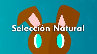 EXPLICACIÓN RÁPIDA y FÁCIL de la SELECCIÓN NATURAL [upl. by Prince564]