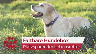 Faltbare Hundebox Platzsparender Lebensretter für Vierbeiner  Best Friends  Welt der Wunder [upl. by Rehsa]