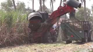 sugarcane cutting machine [upl. by Idnir29]