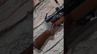 RIFLE 22 WMR CBC [upl. by Hnad]