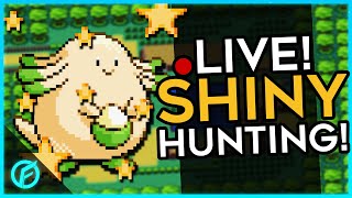 ✨8x Safari Saturday Chansey Shiny Hunt✨ ⚡ROGUE⚡🌟RECENT🌟🟣TWITCH🟣 [upl. by Belac]