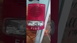 Simplex fire alarm testStrobe doesnt work [upl. by Nonrev833]