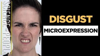 Disgust Microexpression  How To Read Facial Expressions [upl. by Hew]