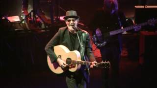 Niente da capire Live  Francesco De Gregori 2015 [upl. by Illah]