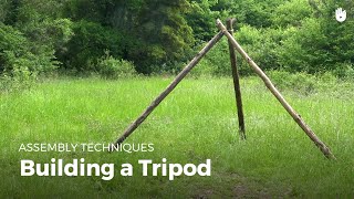 Building a tripod  Bushcraft [upl. by Yennek]