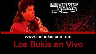 Los Bukis en Vivo  Quiéreme  Los Bukis Oficial [upl. by Yeoj198]