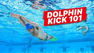 How To Improve Underwater Dolphin Kick  Whiteboard Wednesday [upl. by Irabaj260]