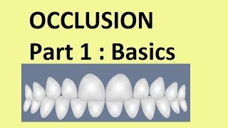 Occlusion  Part 1Basic concepts [upl. by Semela]