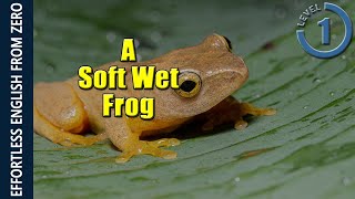 EFFORTLESS ENGLISH LESSON 6  A SOFT WET FROG LEVEL 1 [upl. by Ymrots372]