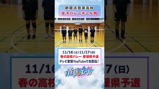 春高バレー県予選に向けて🏐 [upl. by Llyrat563]