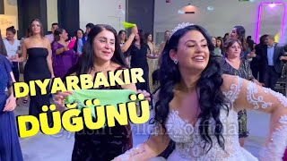 Diyarbakır Düğünü  Yasin Yildiz  Gelin’den muhteşem halay show  Hollanda [upl. by Llerrom297]