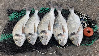 PESCA ALLORATA CON LA COZZA montatura per la canna bolognese [upl. by Sawyere]