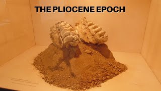 The Pliocene Epoch [upl. by Sisak744]