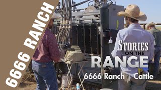 6666 Ranch Cattle Program [upl. by Sofia]