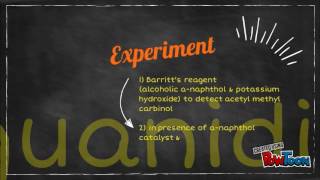 Enterobacter aerogenes VM1G1T1 [upl. by Paris729]