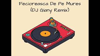 Dumitru Farcas  Fecioreasca De Pe Mures DJ Giany Remix FREE DOWNLOAD [upl. by Dnalra]